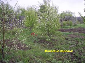 Участок земли в Суздале